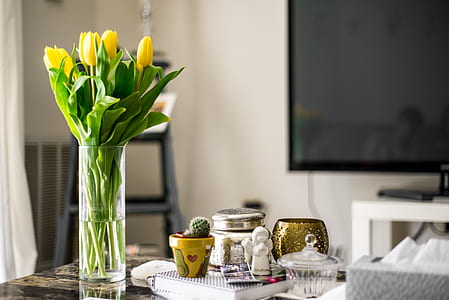 yellow tulips in clear glass vase thumbnail
