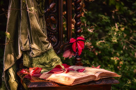 brown book on top of wooden table thumbnail