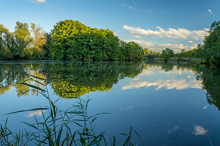 body of water between trees thumbnail