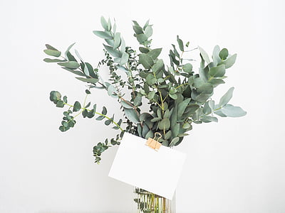 green leaves with paper thumbnail
