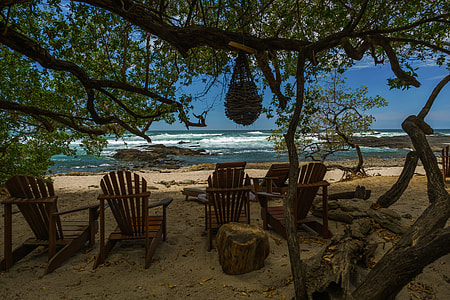 empty brown Adirondack chairs under tree thumbnail