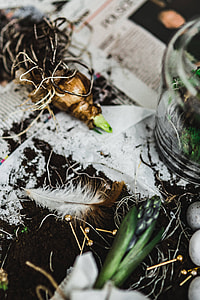Woman planting seedlings on a newspaper covered table with quail eggs thumbnail