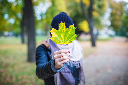 Young Girl Holding Autumn Colored Maple Leaf thumbnail