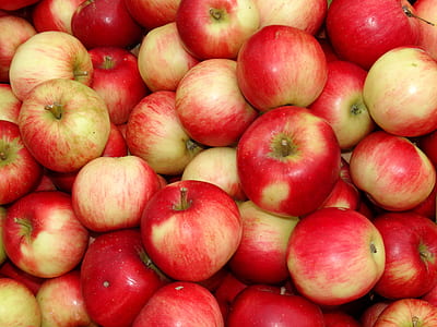 pile of honeycrisp apple thumbnail