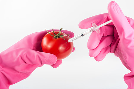 person in pink rubber glove using syringe in tomato thumbnail
