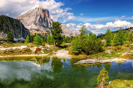 mountain and trees during daytime thumbnail
