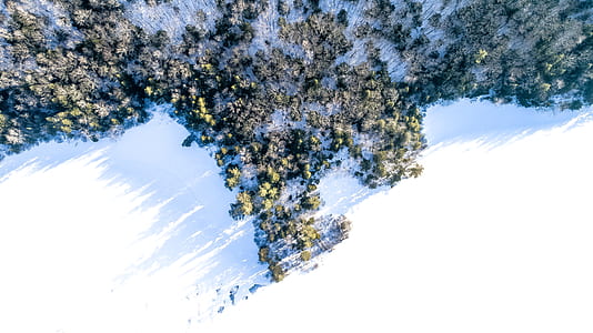 aerial view of snow covered pine forest thumbnail