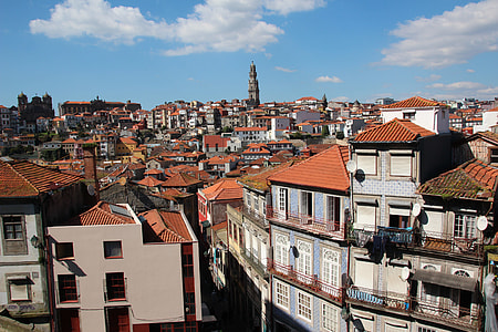 bird's eye view of city during daytime thumbnail