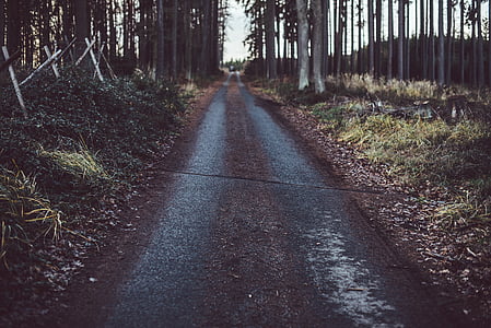 brown pathway thumbnail