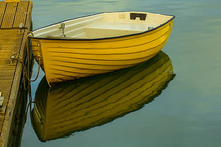 brown and white paddle boat thumbnail