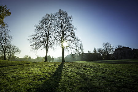green grass field thumbnail