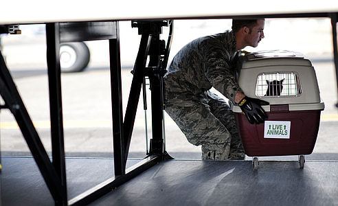 soldier lifting up red and white pet carrier thumbnail