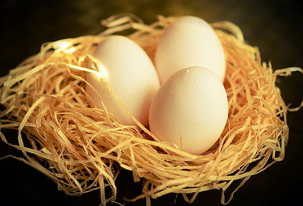 three white eggs on brown nest thumbnail