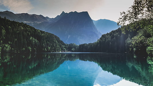 river surrounded by trees with fogs thumbnail