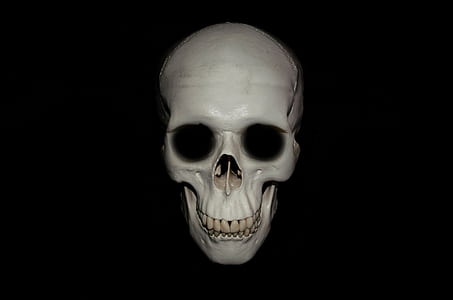 gray skull decor thumbnail