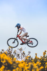 person wearing shirt riding mountain bike floating over yellow petaled flowers during daytime thumbnail