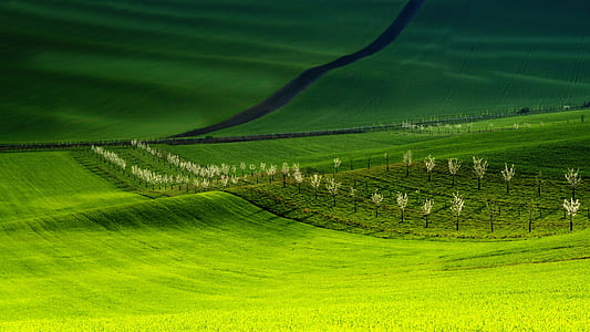 landscape photography of green field thumbnail