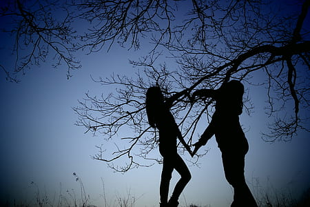 two women silhouette near tree thumbnail