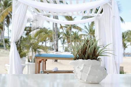 landscape photography of white linen beach arbor thumbnail