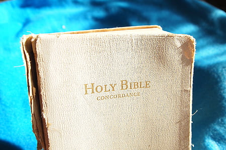 shallow focus photography of Holy Bible thumbnail