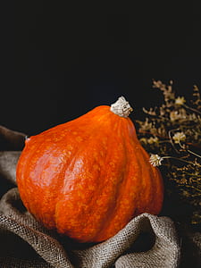 orange squash thumbnail