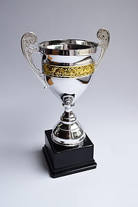 silver trophy thumbnail