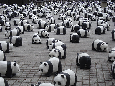 panda lot thumbnail