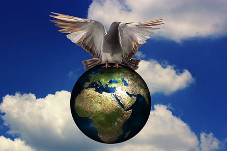 dove on globe illustration thumbnail