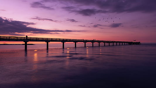 silhouette photography of flock of flying birds above dock thumbnail