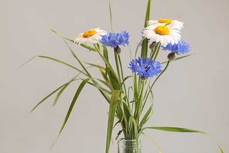 white and purple petaled flower arrangement with clear vase thumbnail