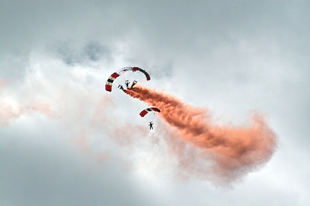 Paras display Farnborough 2010 thumbnail