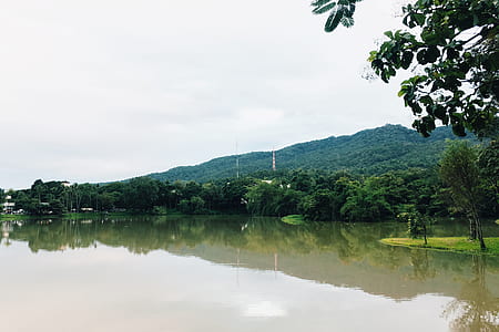 landscape, nature, water, summer thumbnail