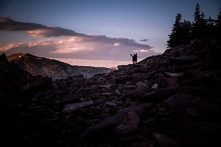 dog on top of mountain thumbnail