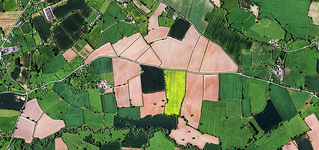 aerial photography of forest thumbnail