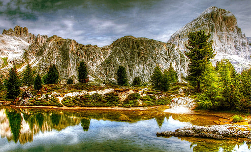 lake surrounded by trees thumbnail