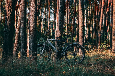 black and gray mountain bike outdoor thumbnail