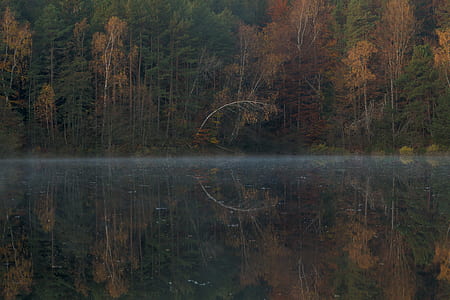 lake in forest thumbnail