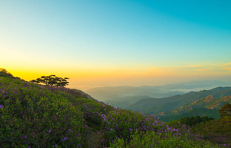 landscape photography of mountain range thumbnail