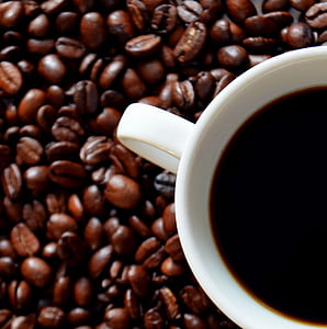 white ceramic mug on coffee beans thumbnail