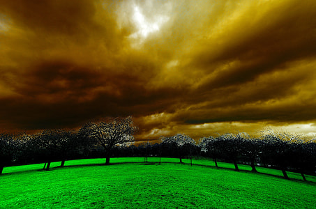 Light Effect with clouds over grass and trees thumbnail