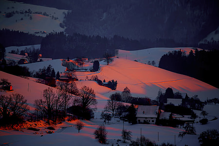 Winter light thumbnail