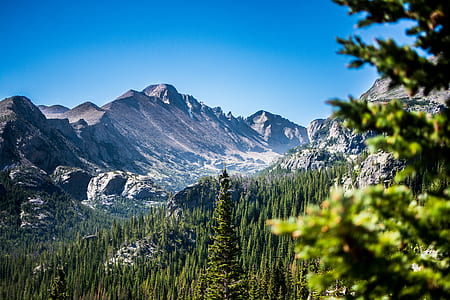 tall trees near mountain during daytime thumbnail