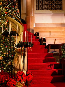 Benches Beside Stairs thumbnail