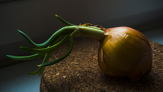 low-light photo of onion bulb thumbnail