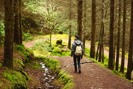 man walking in forest during daytime thumbnail