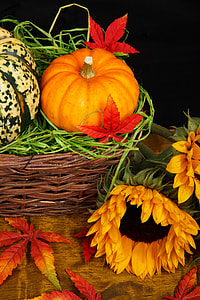 orange squash and white and green squash on top of brown wicker basket thumbnail