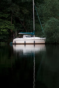white and blue boat besides green trees at daytime thumbnail