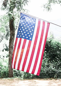 flag of U.S.A. thumbnail