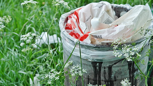white trash bin on grass thumbnail