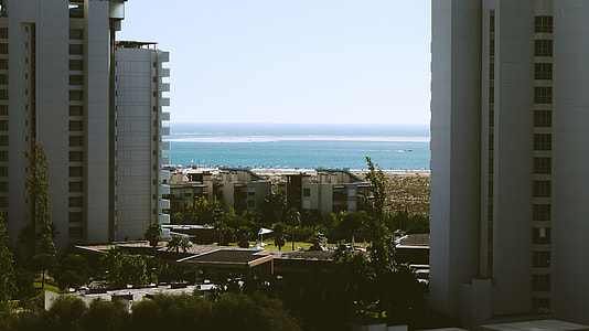 photograph of gray buildings and green leaf tree lot during daytime thumbnail